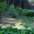 20112308130806-502.jpg